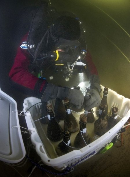 7. Пляшки шампанського відомої марки «Вдова Кліко», знайдені серед вантажу корабля, який затонув в XIX столітті біля берегів Аландських островів в Балтійському морі