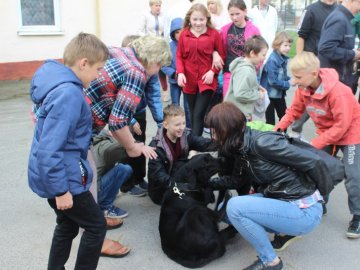 У Луцьку започаткували заняття з каністерапії для малечі