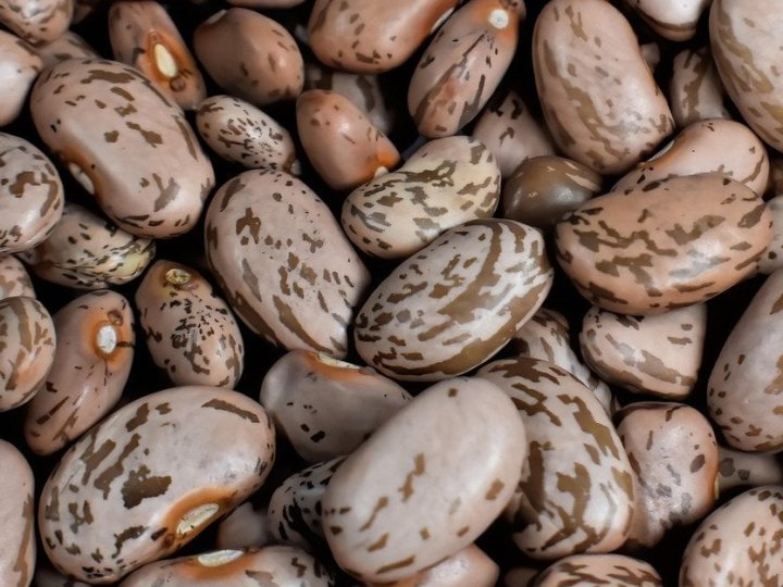 Як зберігати квасолю, щоб у ній не завелися жучки