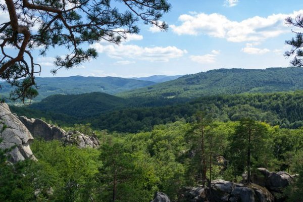 С.Бубнище. Фотографія зроблена з скель Довбуша, зліва частково виглядає село Поляниця 08.07.2013 Автор Олег Гордіюк