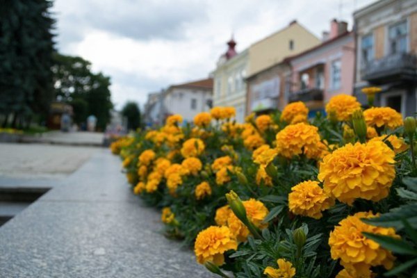 Місто Дрогобич. Фото з прогулянки містом  12.07.2013 Автор Олег Гордіюк