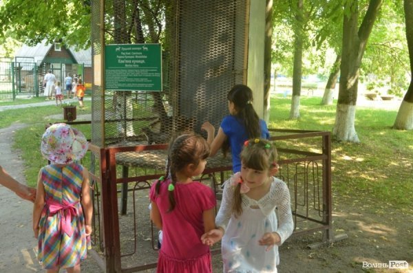 Благодійна акція у Луцькому зоопарку. ФОТО