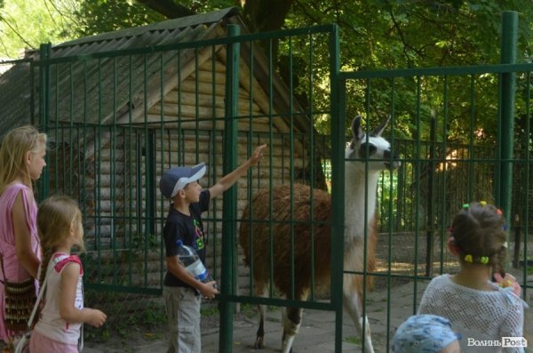 Благодійна акція у Луцькому зоопарку. ФОТО