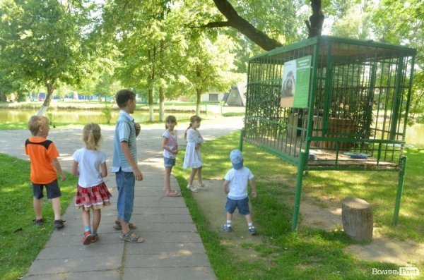 Благодійна акція у Луцькому зоопарку. ФОТО