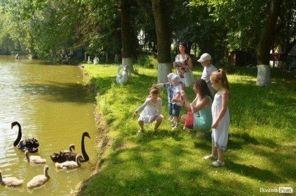 Благодійна акція у Луцькому зоопарку. ФОТО