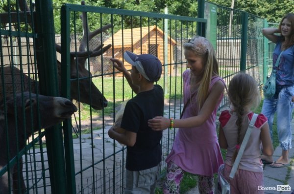 Благодійна акція у Луцькому зоопарку. ФОТО