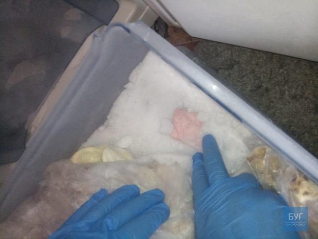 Волинського «наркобаригу» відпустив суд