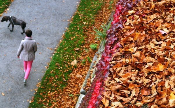 7. Вюрцбург, Німеччина, 19 жовтня 2014. (Фото Karl-Josef Hildenbrand | AFP | Getty Images):