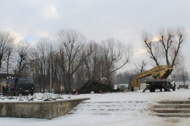 Головну ялинку Нововолинська демонтували. ФОТО