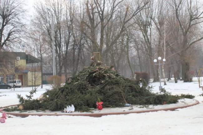 Головну ялинку Нововолинська демонтували. ФОТО