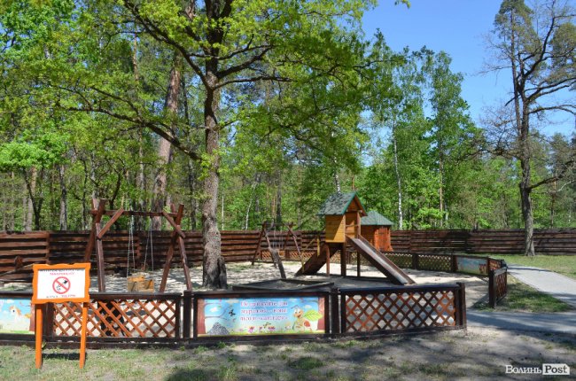 Експрес-подорож областю: на Волині – лісівники з усієї країни. ФОТО