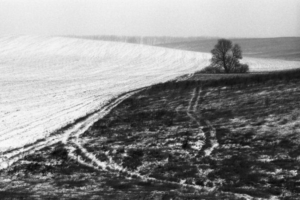 Фотовиставка Тараса Цибуха