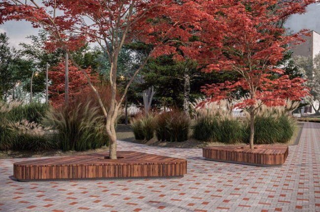 Що нового з’явиться у сквері на проспекті Молоді у Луцьку. ФОТО 