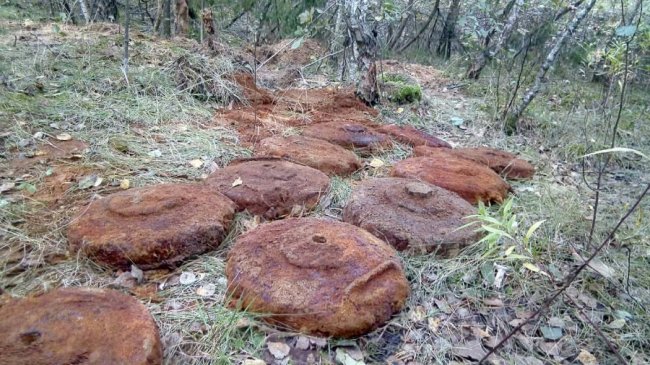 На Волині знешкодили 30 боєприпасів 