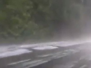 На Житомирщині випав сніг. ВІДЕО