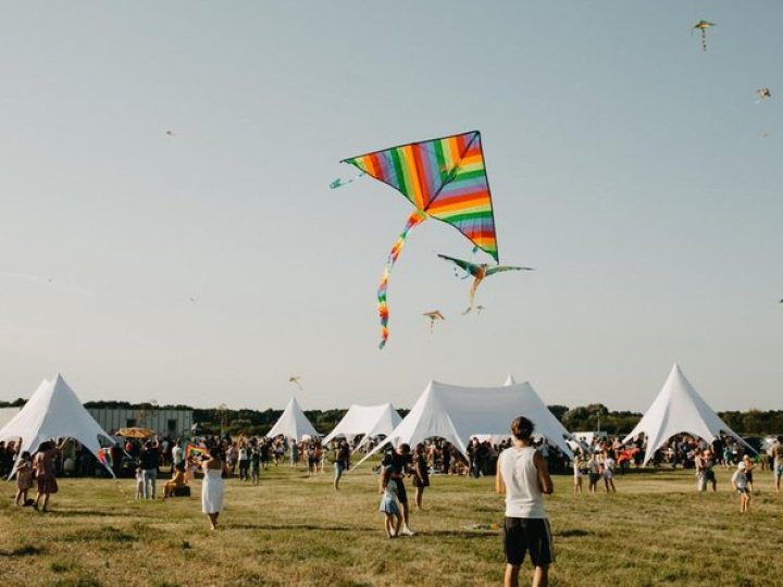 Біля Луцька відбувся фестиваль повітряних зміїв. ФОТО 