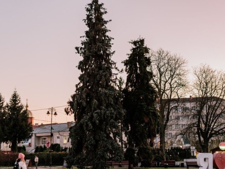 Коли засвітять головні ялинки Луцька