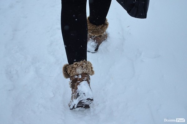Луцьк замітає снігом. ФОТО