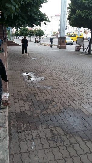 У центрі Луцька порозганяли квіткарів. ФОТО