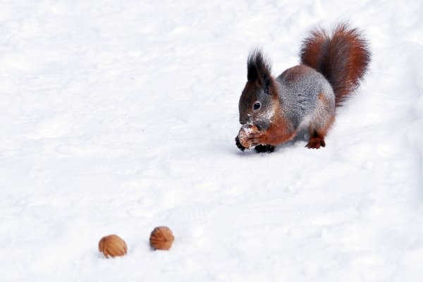 Фотовиставка Костянтина Барана