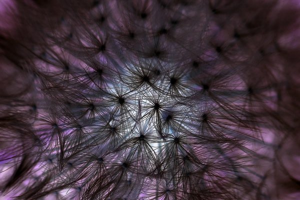 Фотовиставка Костянтина Барана