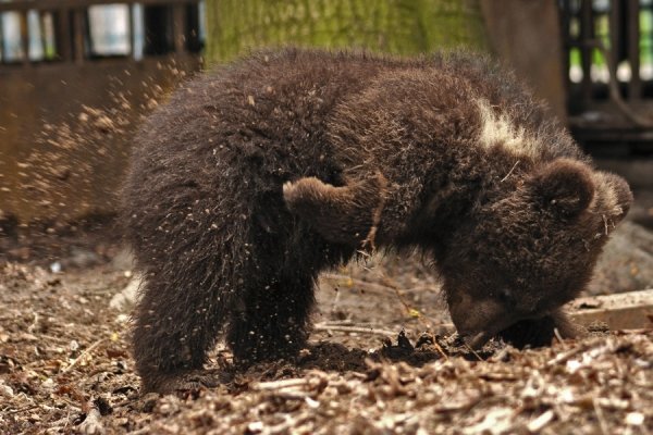 Фотовиставка Костянтина Барана