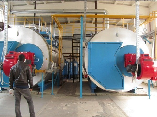 «Ми повинні довести, що без Росії ми проживемо», - Ганна Гопко в Луцьку. ФОТО*