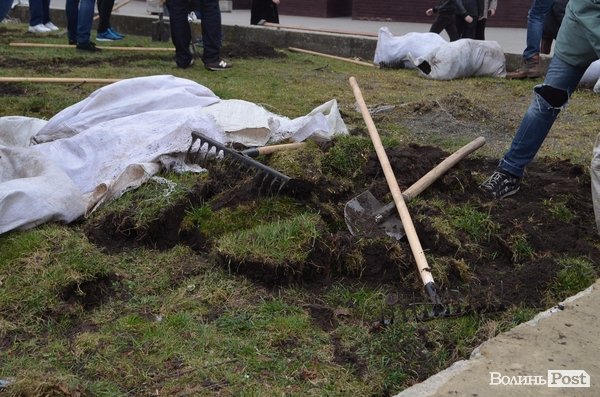 Активні волиняни на Театральному майдані зробили клумбу у формі серця 