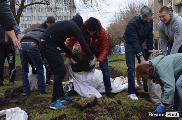 Активні волиняни на Театральному майдані зробили клумбу у формі серця 