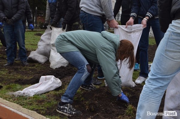 Активні волиняни на Театральному майдані зробили клумбу у формі серця 