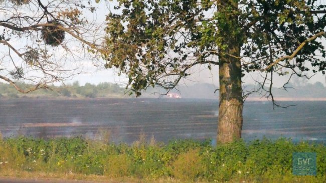 Місто накрила димова завіса: у Володимирі-Волинському горів сухостій. ВІДЕО