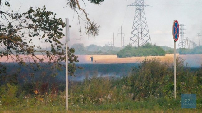 Місто накрила димова завіса: у Володимирі-Волинському горів сухостій. ВІДЕО