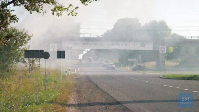 Місто накрила димова завіса: у Володимирі-Волинському горів сухостій. ВІДЕО
