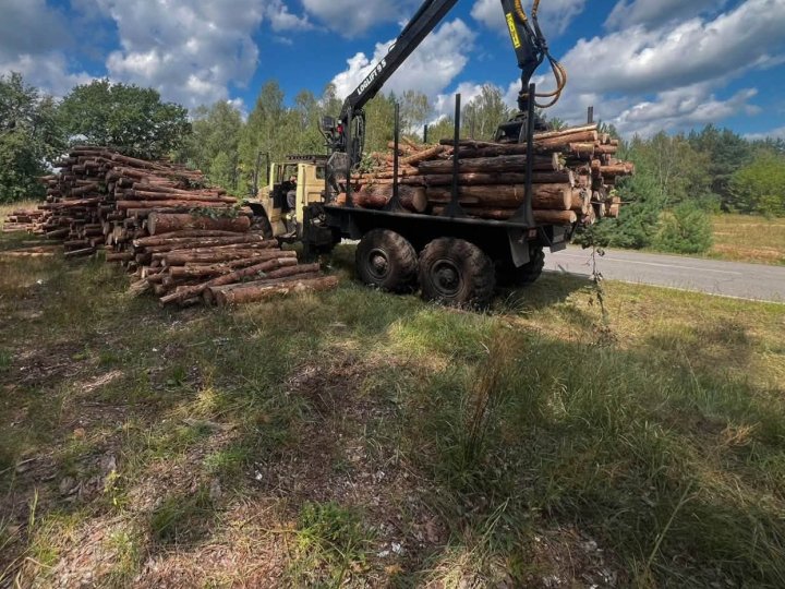 Вантажили на лісовоз: на Волині виявили необліковану деревину