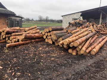 У Камінь-Каширському районі на одній із пилорам поліцейські вилучили незаконний ліс. ФОТО 