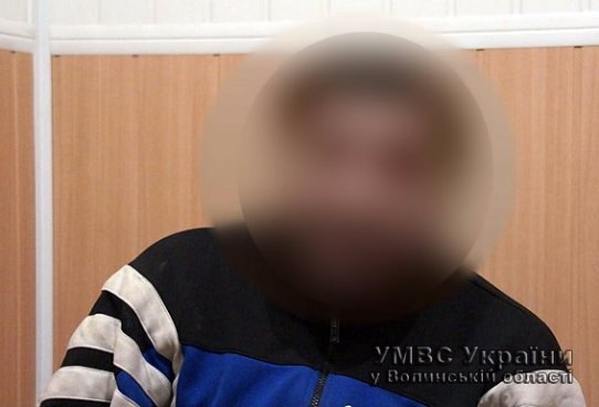На Волині затримали серійних крадіїв-дачників. ФОТО