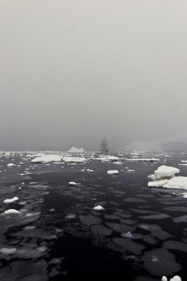 Голландець показав красу Антарктиди в серії фото