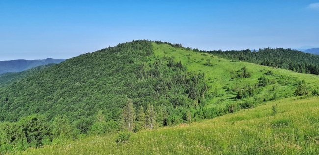 100 кілометрів горами за 24 години: волинянин розповів про пекельний трейл у Карпатах