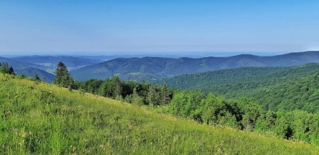 100 кілометрів горами за 24 години: волинянин розповів про пекельний трейл у Карпатах