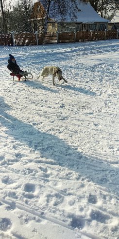 На Волині священник організував зимові розваги для односельчан. ФОТО