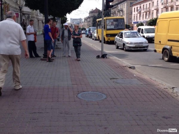 У Луцьку деталь від тролейбуса розтрощила світлофор. ФОТО