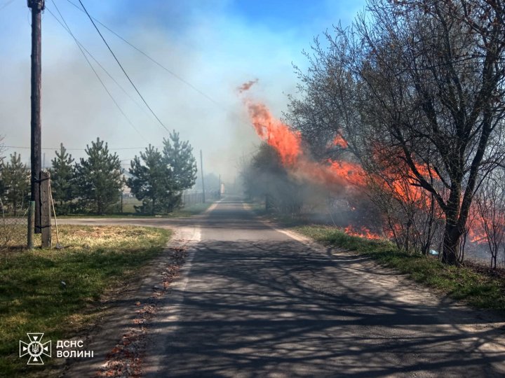 Вогонь підходив упритул до доріг та будинків: на Волині згоріло понад 30 га землі
