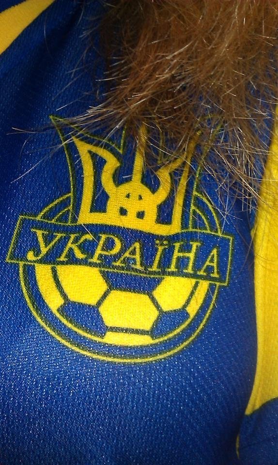 Перемога України:  що писали волиняни в соцмережах