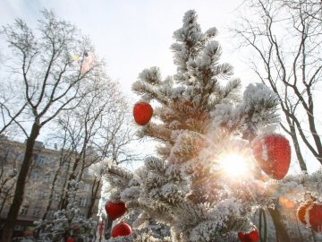 Погода в Луцьку та Волинській області на п’ятницю, 3 січня