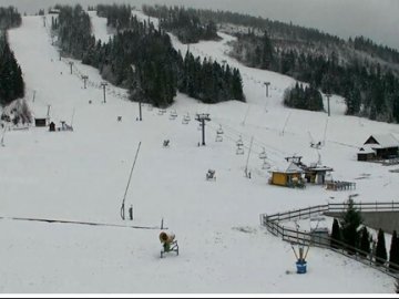 У Карпатах почав падати сніг. ФОТО