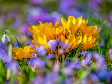 1 квітня  – яке сьогодні свято: чого не можна робити в цей день