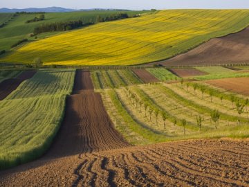 Повідомили, скільки землі отримали волинські атовці цьогоріч 