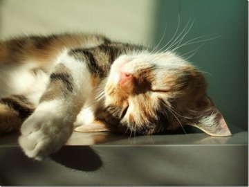 Прогноз погоди на 9 березня: останній теплий день перед похолоданням