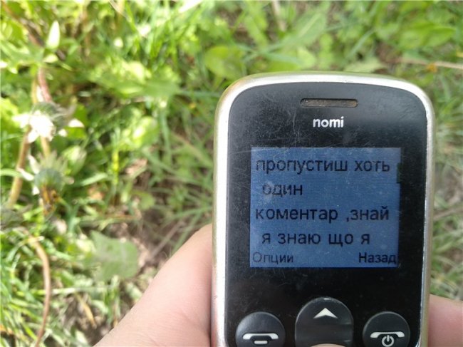 «Думаю, ти не хтіла б бачити дочку інвалідом»: журналістці з Волині далі погрожують