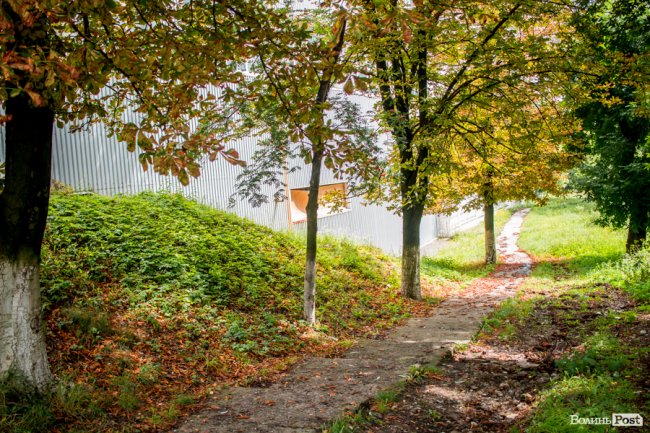 Літній листопад: чому «лисіють» луцькі каштани. ФОТО